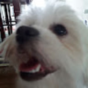 Meet your Posher, Gwen